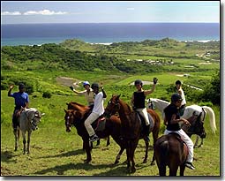 Ride Barbados Horseback Tours