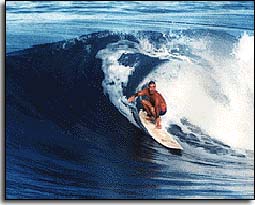 Compliments the Barbados Surf Association