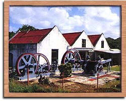 The Sugar Museum