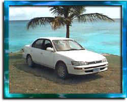 Mohamed Car Rentals
