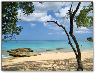 Batts Rock Beach