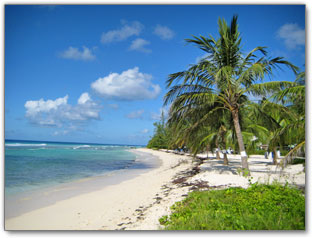 Coconut Court Beach