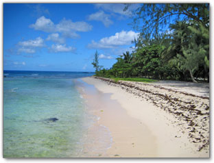 Drill Hall Beach