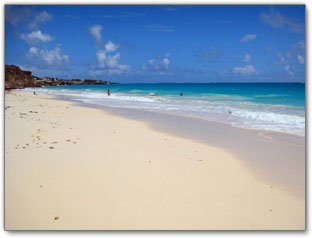 Ginger Bay