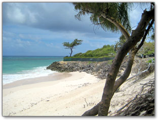 Silver Sands Beach / Silver Rock Beach