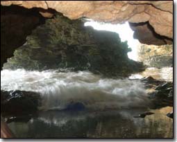 Animal Flower Cave