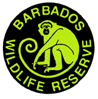 Barbados Wildlife Reserve, Barbados