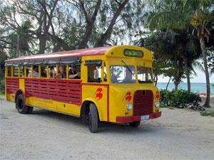 Bajan Vintage Open Bus Tours