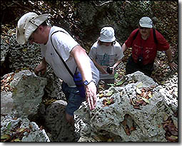 Arbib Nature & Heritage Trails