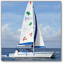 Small Cats Catamaran Sailing Cruises