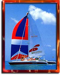 Stiletto Catamaran Cruises