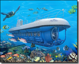 Atlantis Submarines Tours