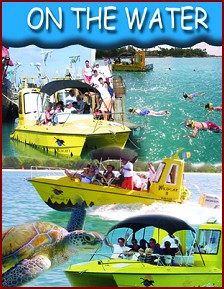 Wildcat Powerboat Sea Adventures
