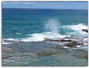 Fun Barbados - Segway of Barbados