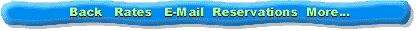 MenuBar