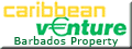 Barbados Property