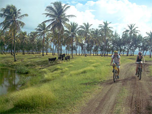 Trailseekers Bike Tours