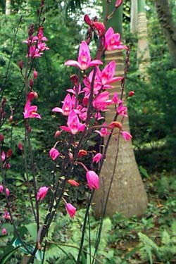 Photo by Geoff Farmer