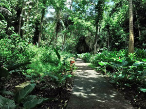 Fun Barbados - Harrison's Cave