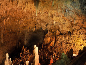 Fun Barbados - Harrison's Cave