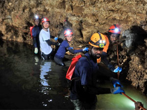 Fun Barbados - Harrison's Cave