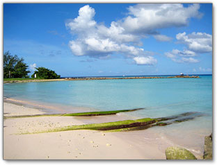 Pebbles Beach Fun Barbados Sights