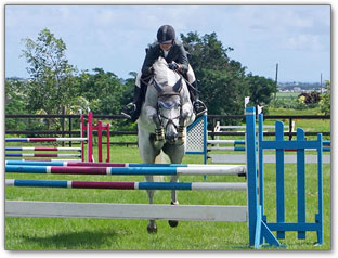 Fun Barbados: Equestrian Sports in Barbados