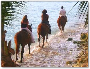 Fun Barbados: Horseback Riding in Barbados