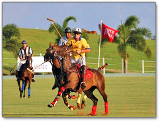 Fun Barbados: Polo in Barbados