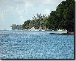 Shasa Catamarans Barbados