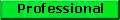 Professional Services