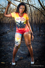 Fun Barbados - Crop Over - Blaze Foreday Morning Band