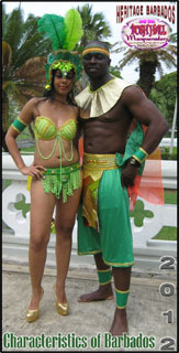Fun Barbados - Crop Over - 2012 Bush Hall Masqueraders Kadooment Masquerade Band