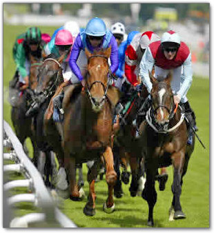 Fun Barbados: Horse Racing in Barbados