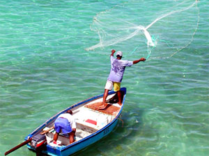 Deep Sea Fishing in Barbados: Big Game Sport Fishing Trips, Holiday & Vacation Packages